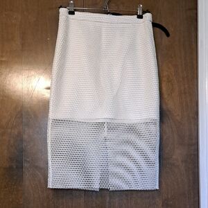 White Mesh Skirt